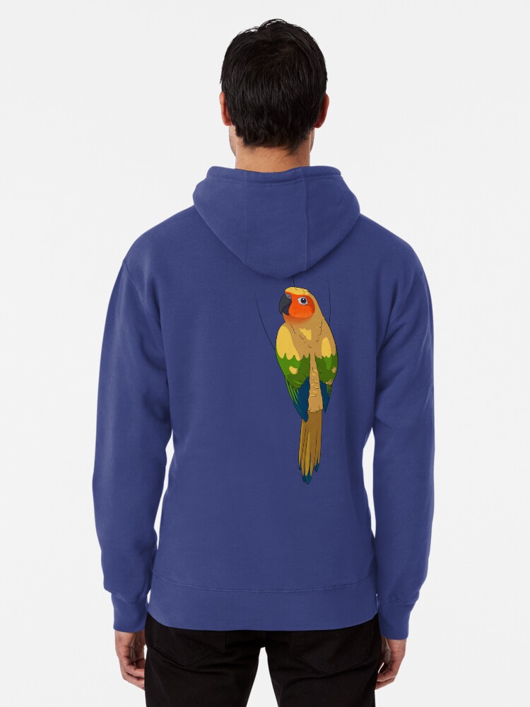 sun conure sweater