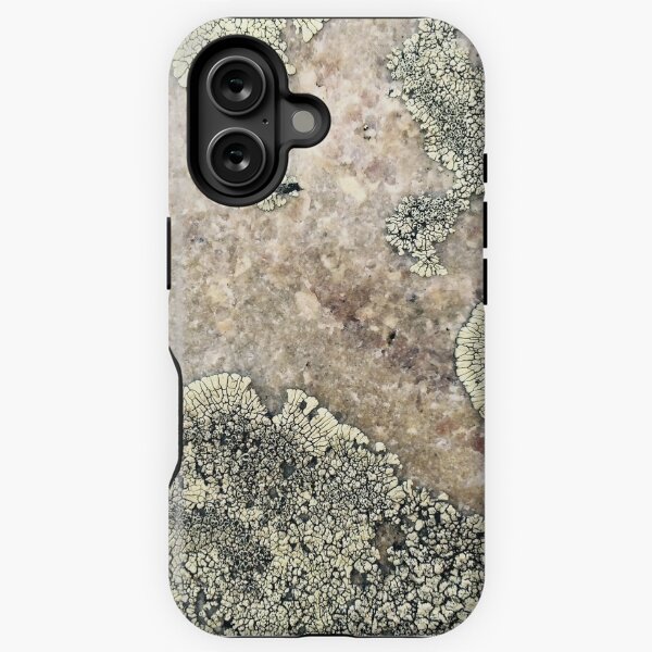 Item preview, Lichen on granite designed and sold by robzeeart.