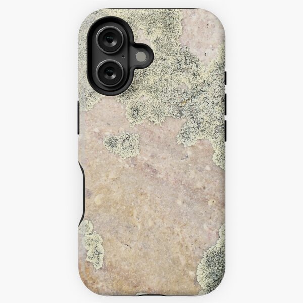 Item preview, Lichen on granite designed and sold by robzeeart.