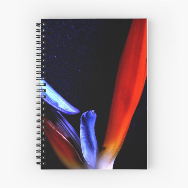 Item preview, reach out to heaven designed and sold by lensbaby.