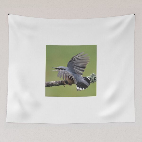 Item preview, A very annoyed Nuthatch designed and sold by Holmewood.