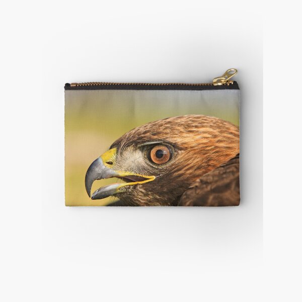 Item preview, Red Tail Hawk - Family:  Accipitriformes designed and sold by Buckwhite.