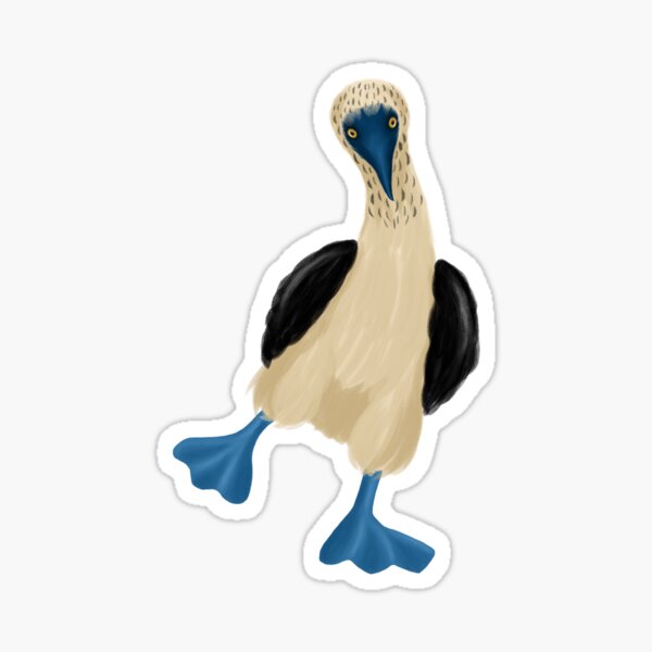 Blue Footed Booby Sticker