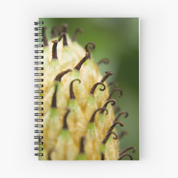 Item preview, Magnolia Carpels designed and sold by dearvanna.