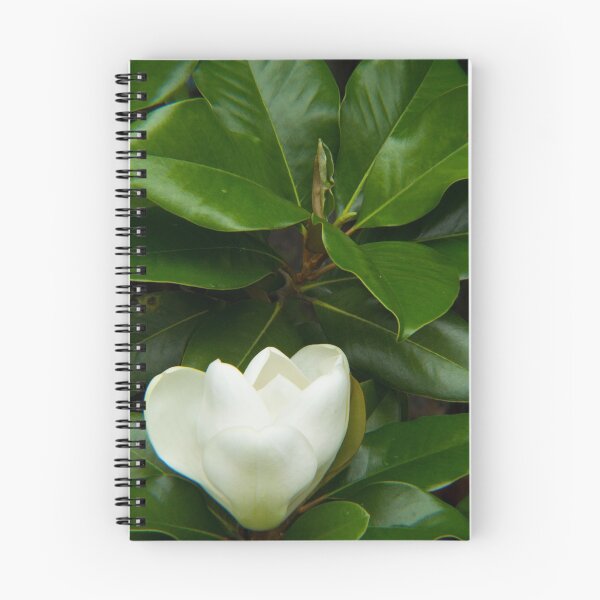 Item preview, Magnolia 1 designed and sold by dearvanna.