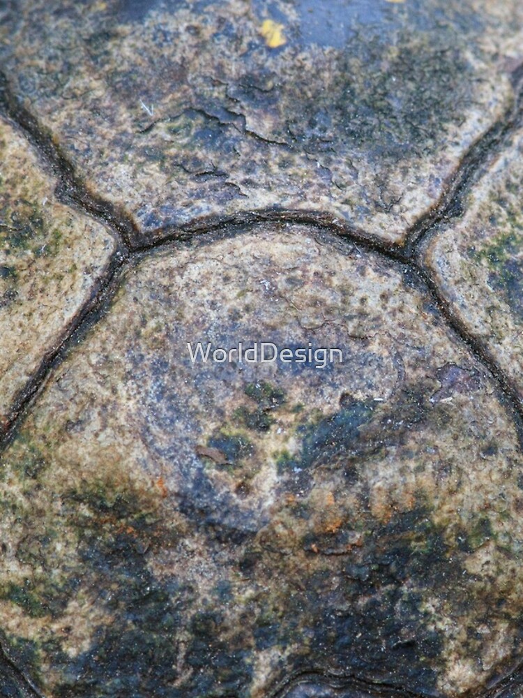 Thumbnail 4 of 4, Samsung Galaxy Phone Case, Tortoise Shell designed and sold by WorldDesign.