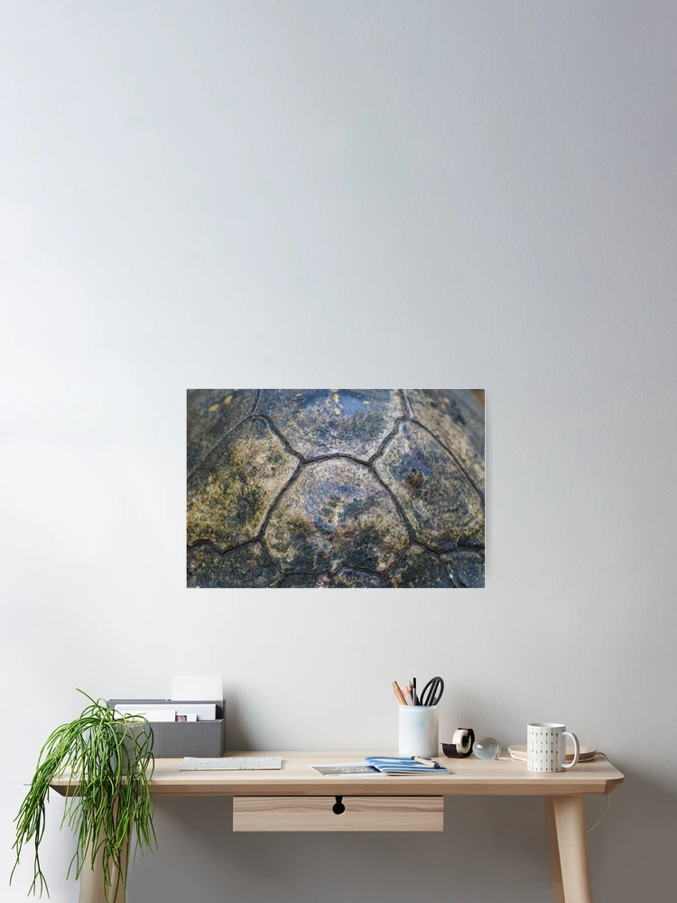Thumbnail 2 of 3, Poster, Tortoise Shell designed and sold by WorldDesign.