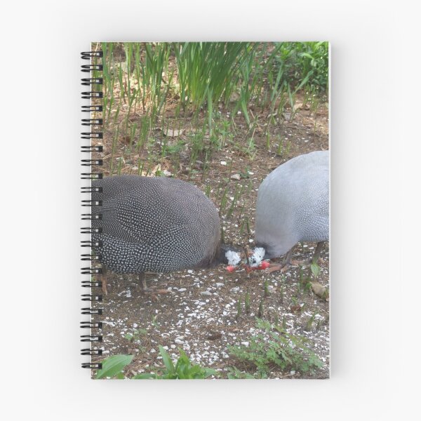 Aperçu de l'œuvre guinea hens créée et vendue par Maureen Zaharie.
