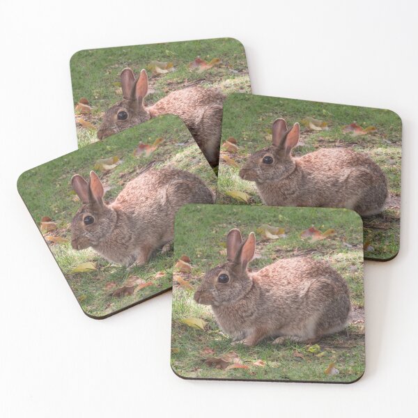 Item preview, Bunny designed and sold by Zina Stromberg.