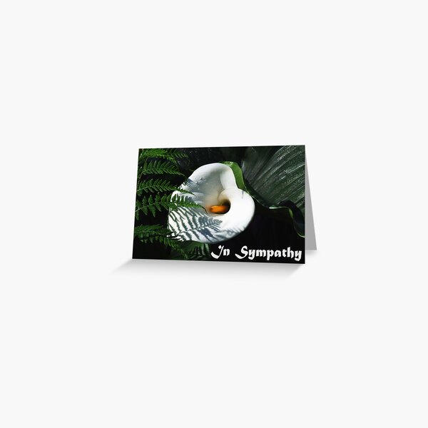 In Sympathy Greeting Card