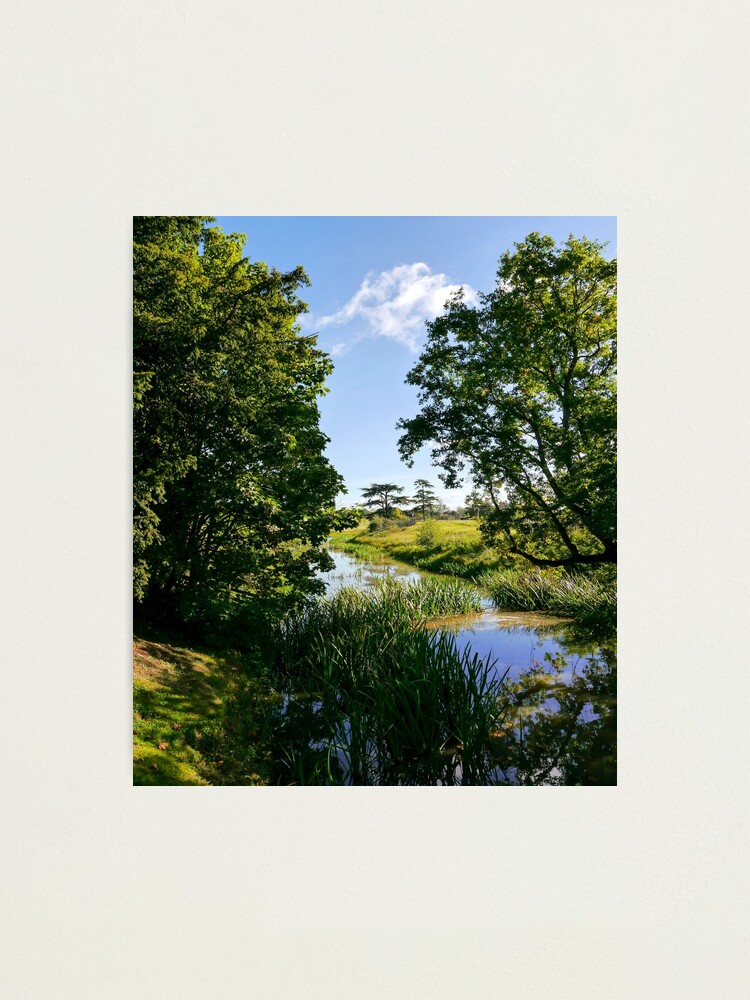 Alternate view of Wondrous nature Photographic Print