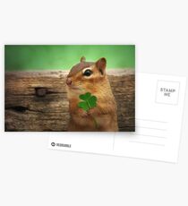 Irish Chippy Postcards