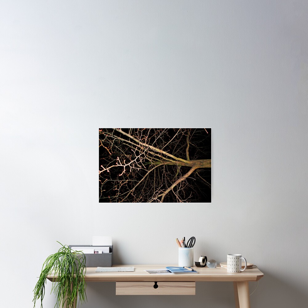 Vista previa del artículo con la obra «Póster», diseñado y vendido por lorrbratis.