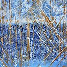 Timeless Horizon by Kathie Nichols