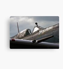 20mm Grey Nurse Canvas Print