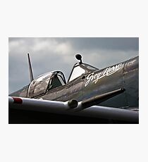 20mm Grey Nurse Photographic Print