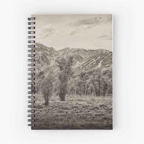 Item preview, Cottonwood designed and sold by Hugh Olin Smith Jr.
