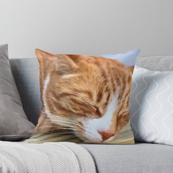 Item preview, A little cat nap... designed and sold by Hazel McKinnon.