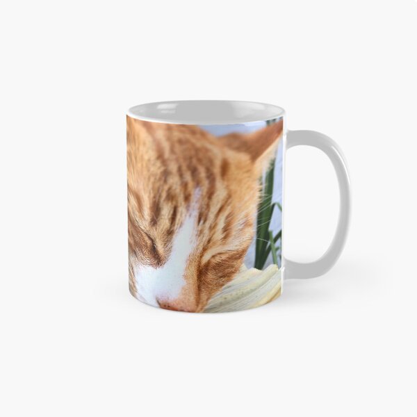 Item preview, A little cat nap... designed and sold by Hazel McKinnon.