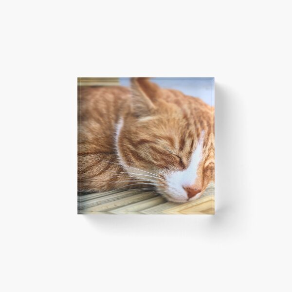 Item preview, A little cat nap... designed and sold by Hazel McKinnon.