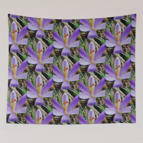 Item preview, Saffron designed and sold by mary02.