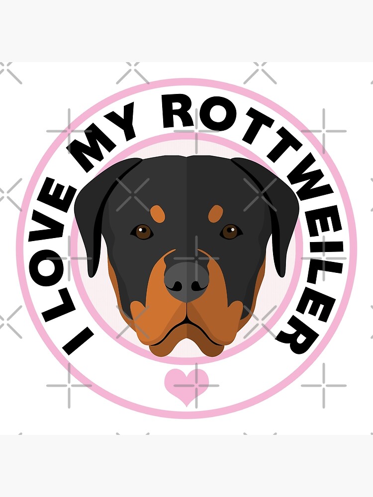 rottweiler pet shop