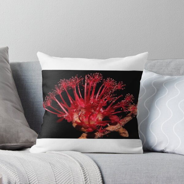 Item preview, Asteromyrtus brassii  designed and sold by andrachne.