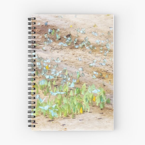 Item preview, Delicate Desert Diversion designed and sold by Owed To Nature.