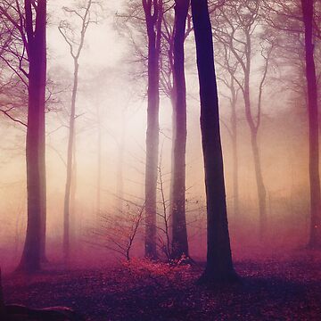 Artwork thumbnail, Mysts - Forest in Winter Fog by DyrkWyst