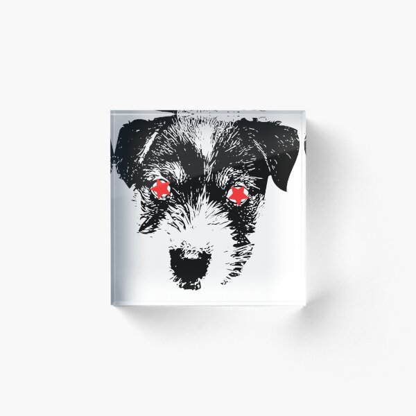 Puppy Jack Russell Terrier punk Acrylic Block