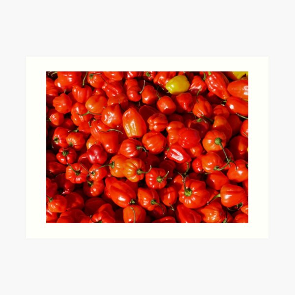 Food - small red peppers Art Print