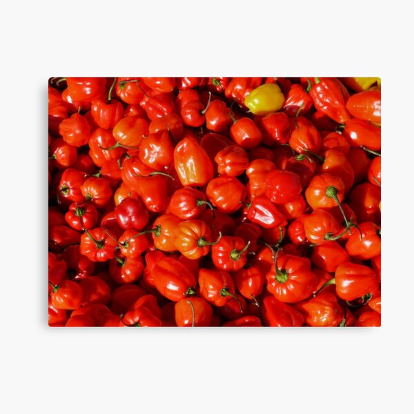 Food - small red peppers Canvas Print