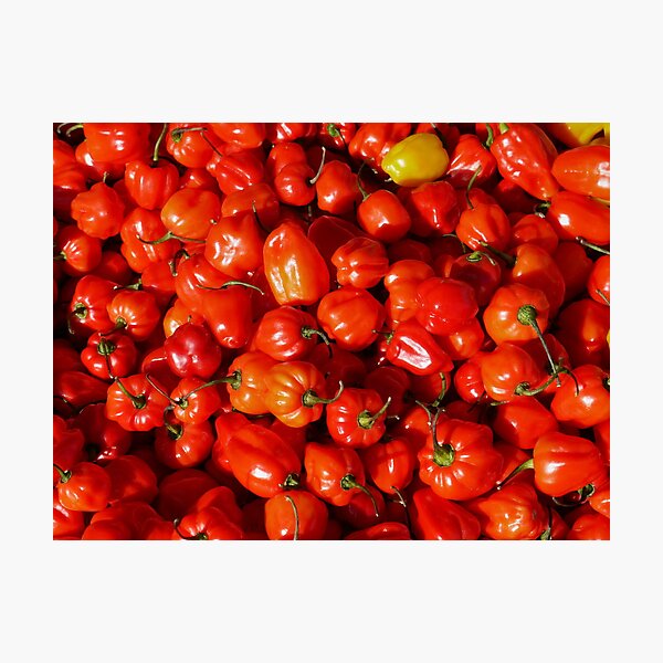Food - small red peppers Photographic Print