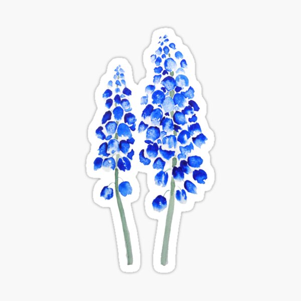 Item preview, hand painted 2 blue abstract grape hyacinth watercolor designed and sold by ColorandColor.