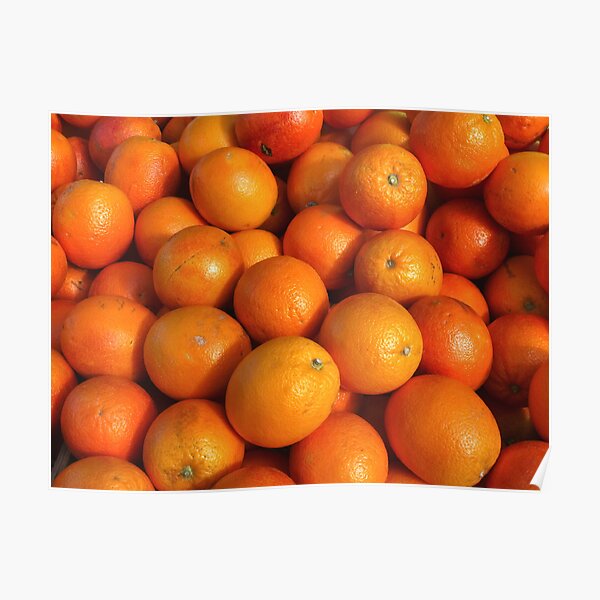 Food - maroc oranges Poster
