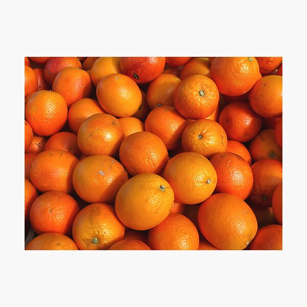 Food - maroc oranges Photographic Print
