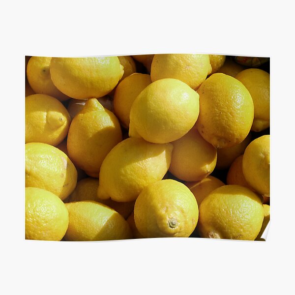 Food - lemons Poster