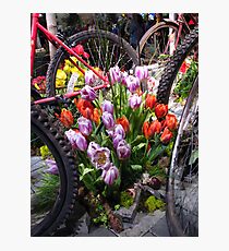 The Netherlands Photographic Print