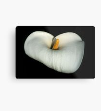 Simple Beauty Metal Print
