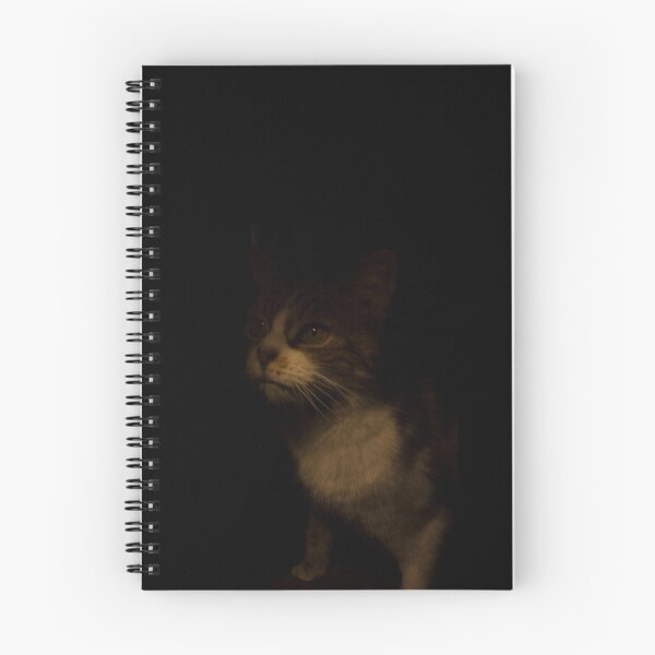 Item preview, Ugg tabby cat designed and sold by jenterpixels.