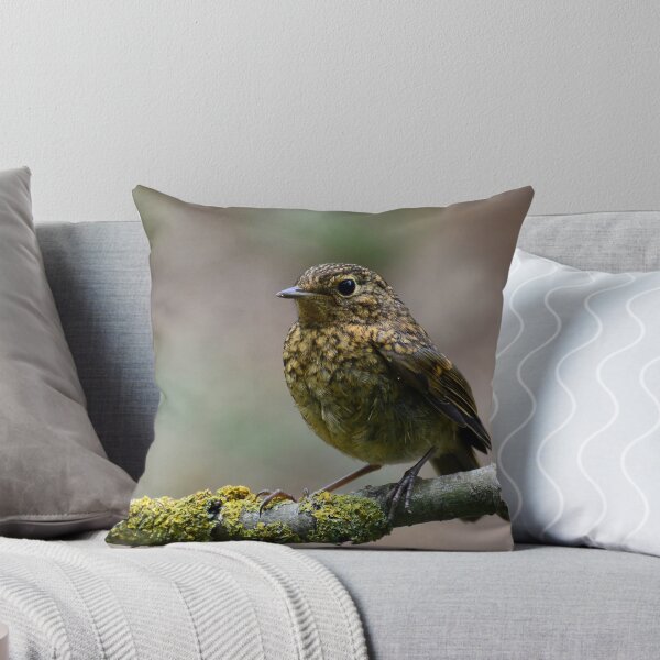 Item preview, Robin Redbreast Juvenil designed and sold by Holmewood.
