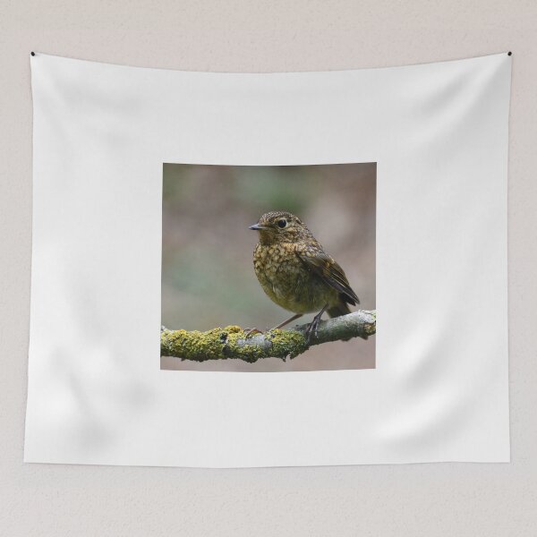 Item preview, Juvenile Robin Redbreast designed and sold by Holmewood.
