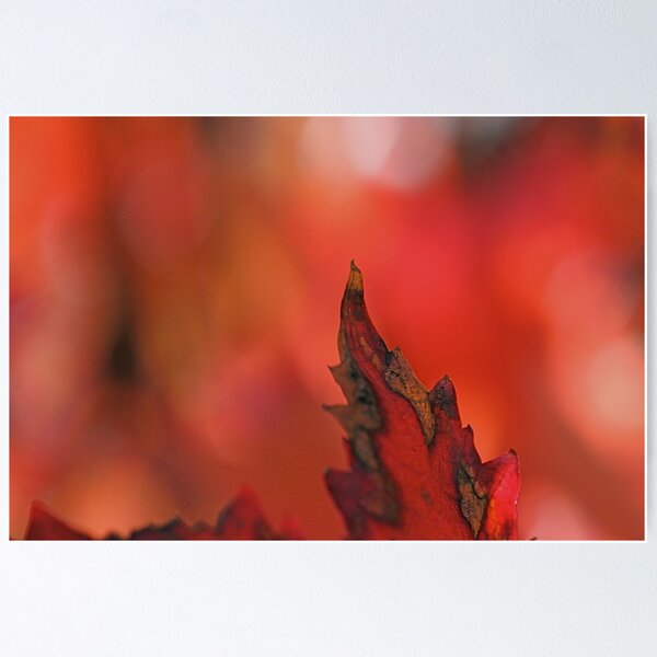Item preview, Passionate designed and sold by Maria Ismanah Schulze-Vorberg.