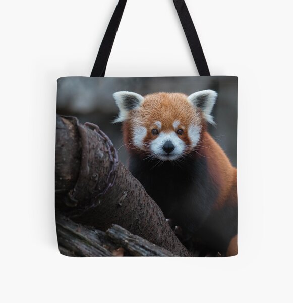 Saint Louis Zoo Sculpture Large Tote Bag