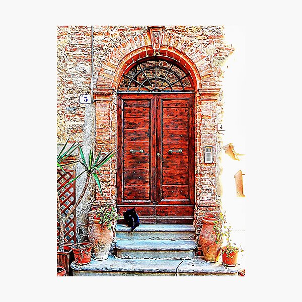 Aperçu de l'œuvre Panicale Cat dans la porte créée et vendue par ShannathShima.