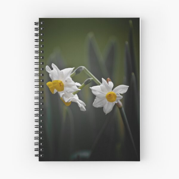 Item preview, Jonquils designed and sold by Lisa Kenny.