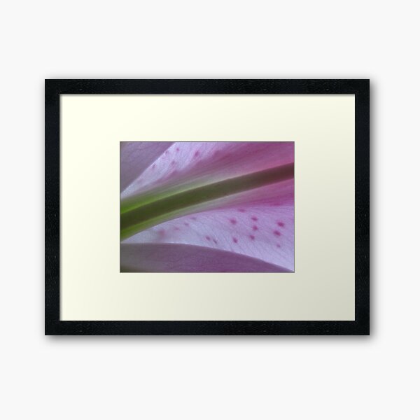 C March Lily Framed Art Print