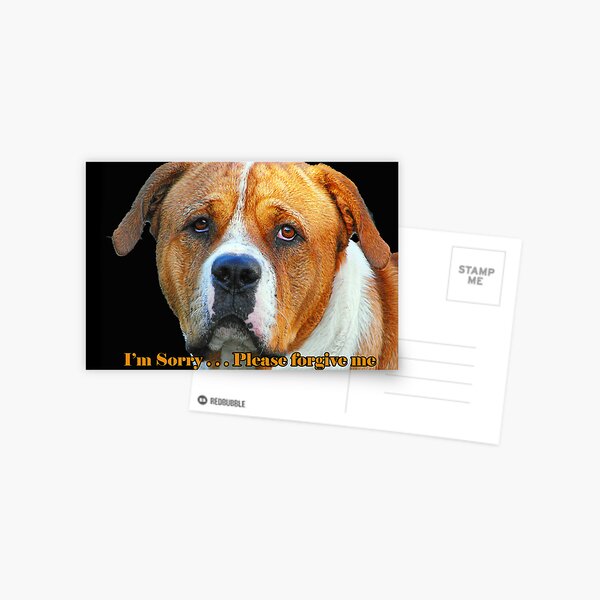 Boxer Dog Card Postcard