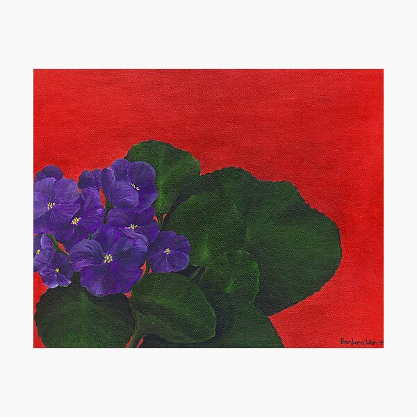 Item preview, Violets designed and sold by Barbara Weir.