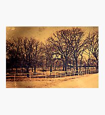 Suburbia Photographic Print